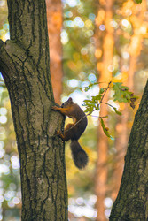 Similar image 22283243