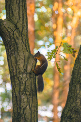 Similar image 22283244