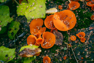 Similar image 22283246