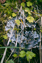 Similar image 22285583