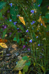 Similar image 22283248