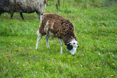 Similar image 22285584