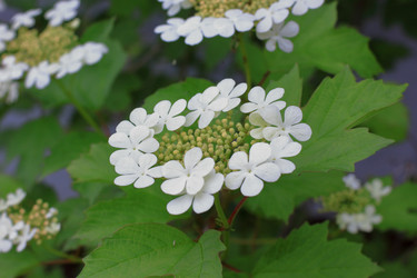 Similar image 22284286