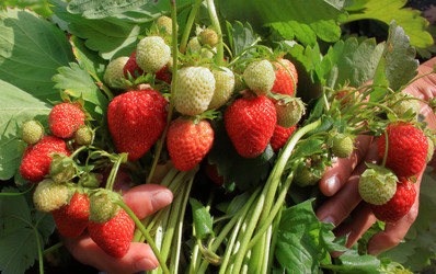 Similar image 22284288