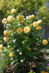 Similar image 22284289