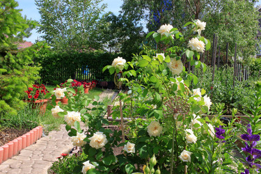 Similar image 22284290