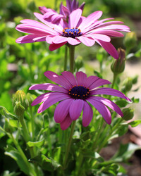 Similar image 22284294