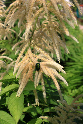 Similar image 22284296