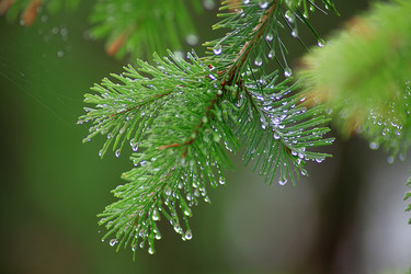 Similar image 22284298