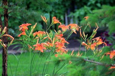 Similar image 22284299