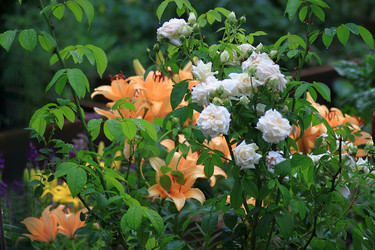 Similar image 22284300