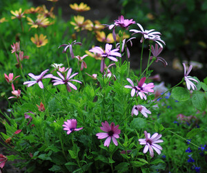 Similar image 22284301