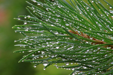 Similar image 22284302