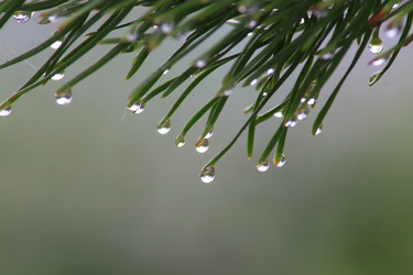 Similar image 22284303