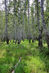 Similar image 22284304