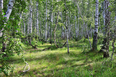 Similar image 22284305