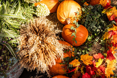 Similar image 22282877