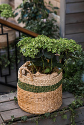 Similar image 22284028