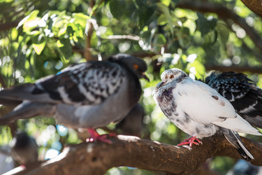 Similar image 22284039