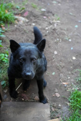 Similar image 22282892