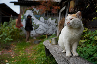 Similar image 22282893