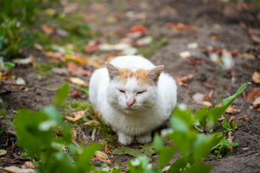 Similar image 22282894