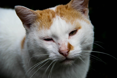 Similar image 22282896