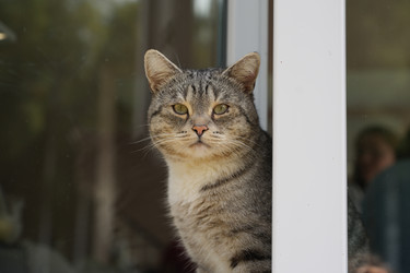 Similar image 22282897