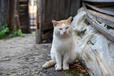 Similar image 22282898