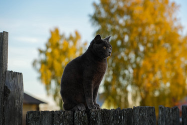 Similar image 22282899