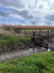 Similar image 22282903