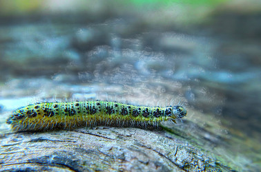 Similar image 22282907