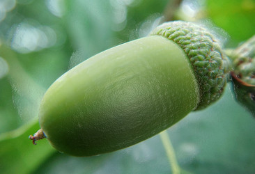 Similar image 22282908