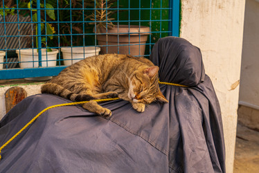 Similar image 22282912