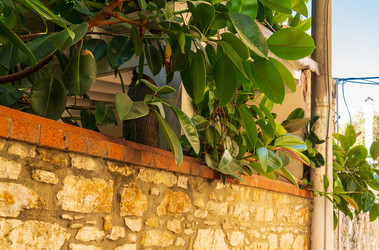 Similar image 22282915