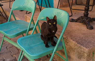 Similar image 22282922