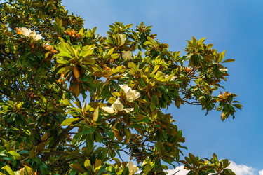 Similar image 22282924