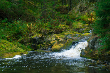 Similar image 22283249