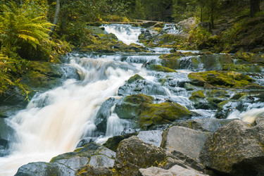 Similar image 22283252