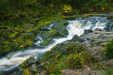 Similar image 22283256