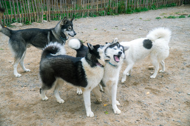 Similar image 22285586