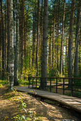 Similar image 22283257