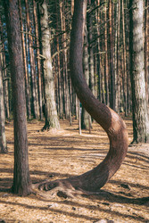 Similar image 22283258