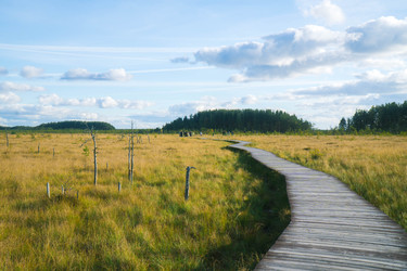 Similar image 22283259