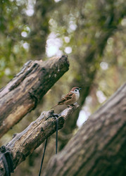 Similar image 22283262