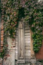 Similar image 22285587