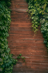 Similar image 22283268