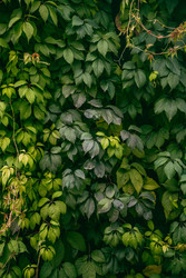 Similar image 22283269