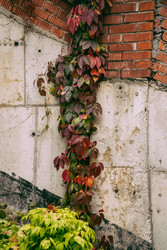 Similar image 22285588