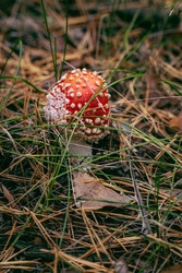 Similar image 22283270